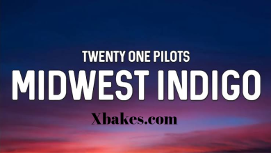Twenty One Pilots - Midwest Indigo