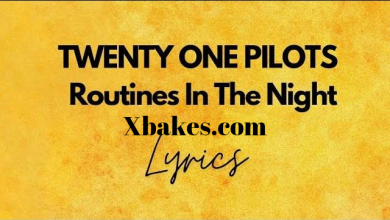 Twenty One Pilots - Routines In The Night