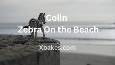 Colin - Zebra On the Beach