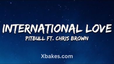 Pitbull - International Love