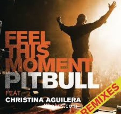 Pitbull x Christina Aguilera - Feel This Moment